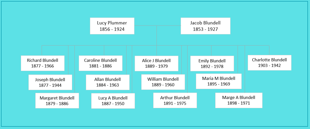 Lucy Plummer (1856) Family