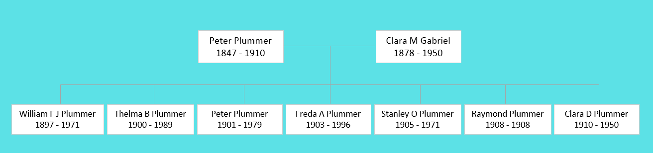 Peter Plummer (1847) and Family