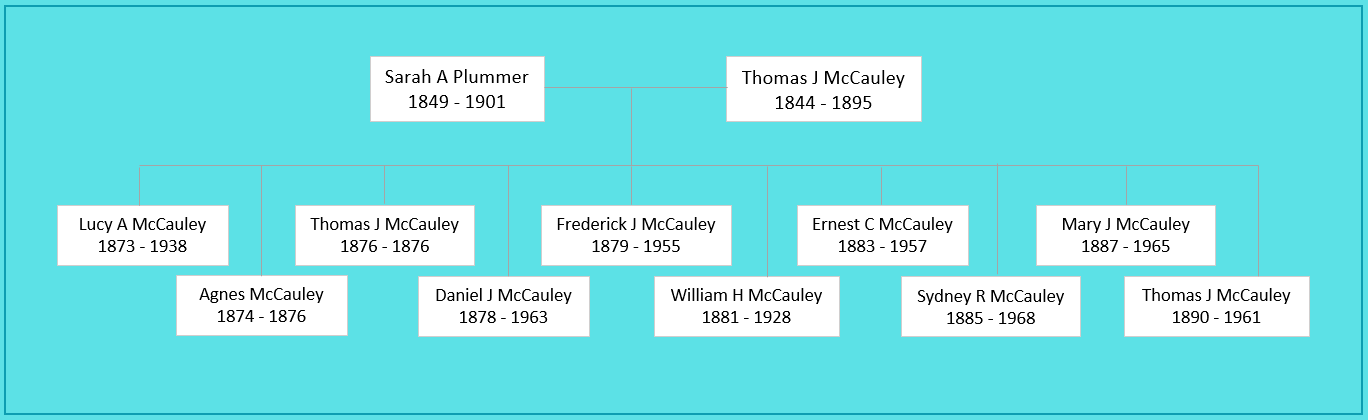 Sarah A Plummer Family